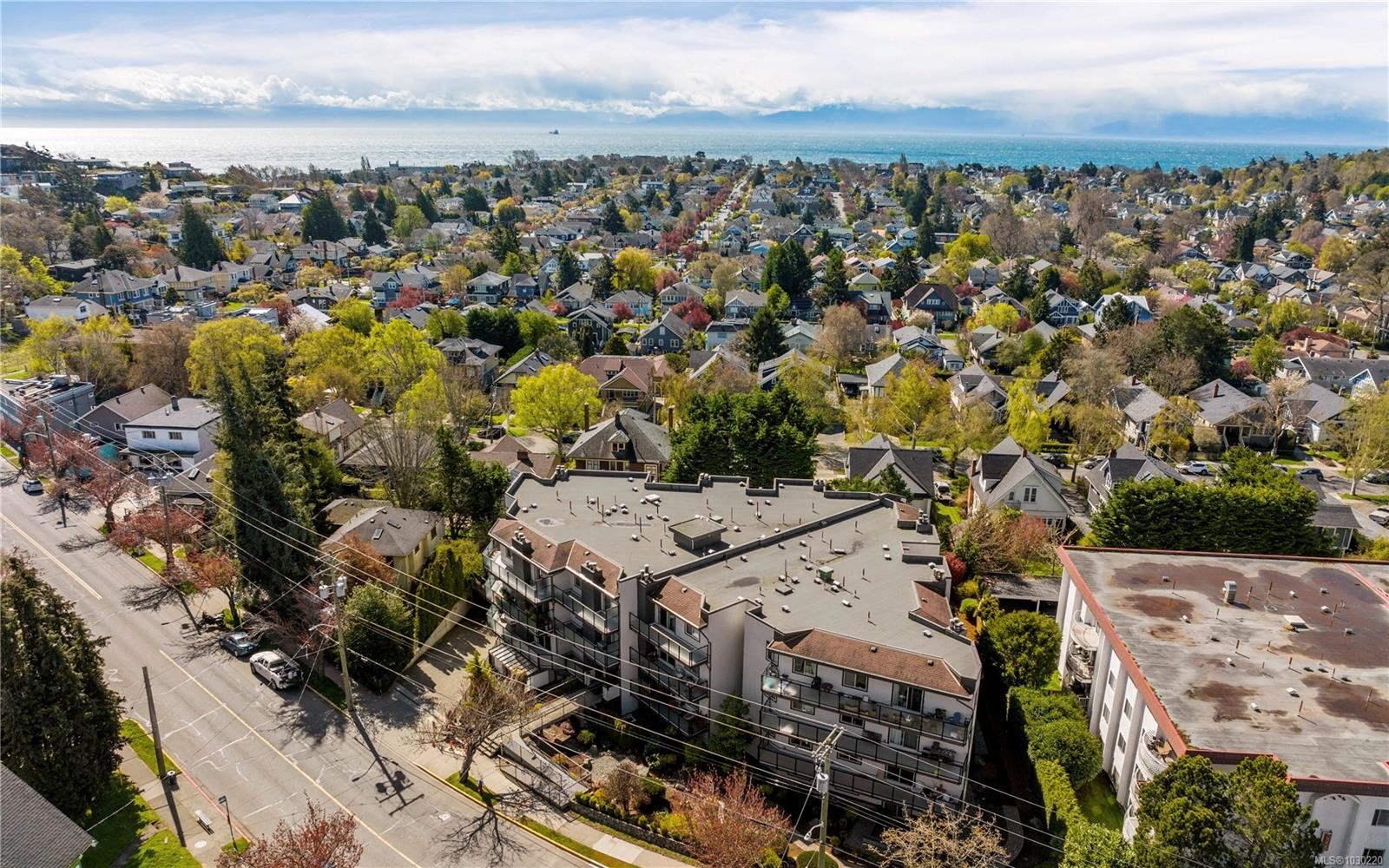 









1241


Fairfield

Rd, 402,
Victoria,




BC
V8V 3B3

