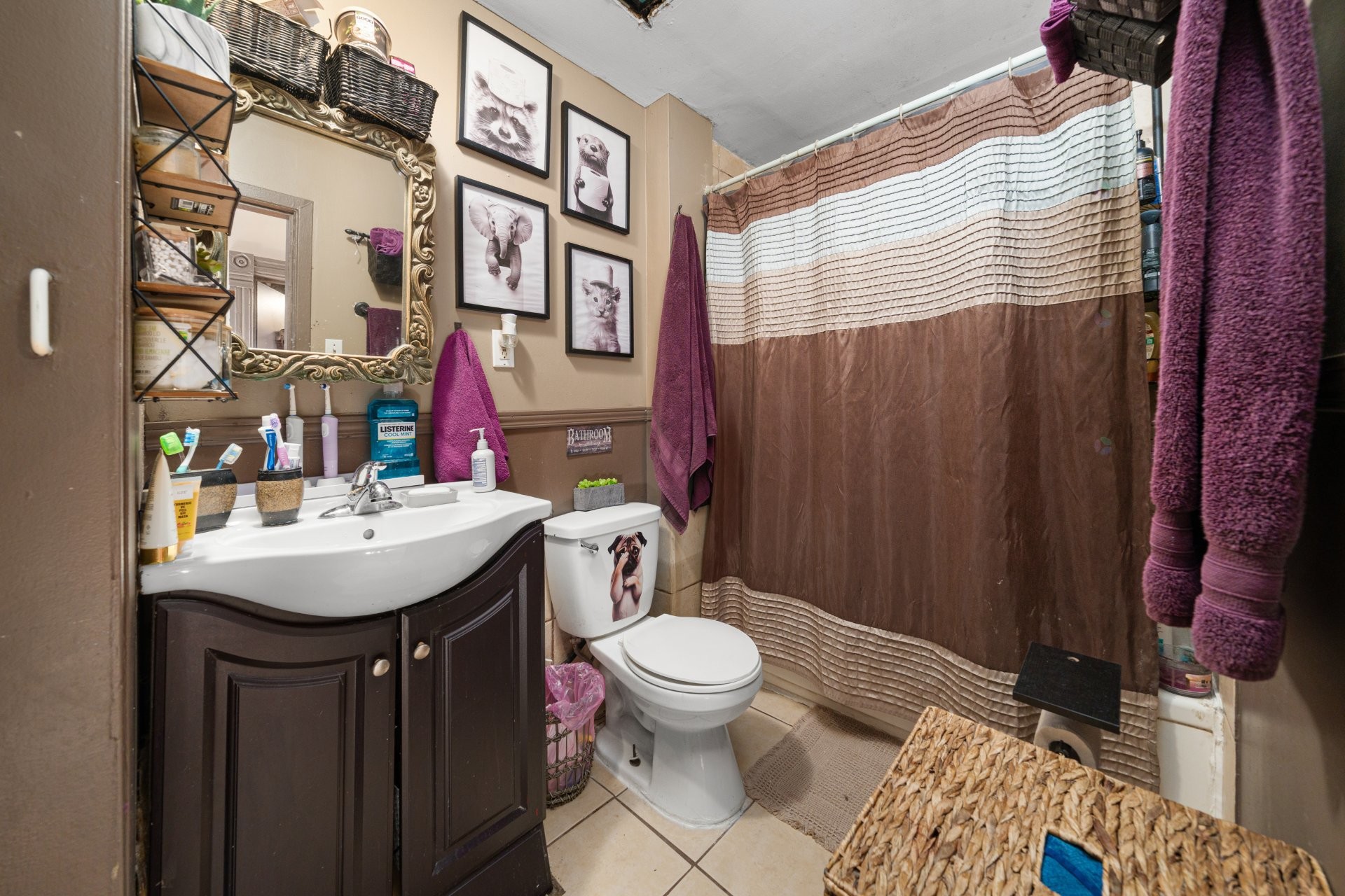 









4112

 - 4116


Rue Adam

,
Montréal (Mercier/Hochelaga-Maisonneuve),




QC
H1V1S7

