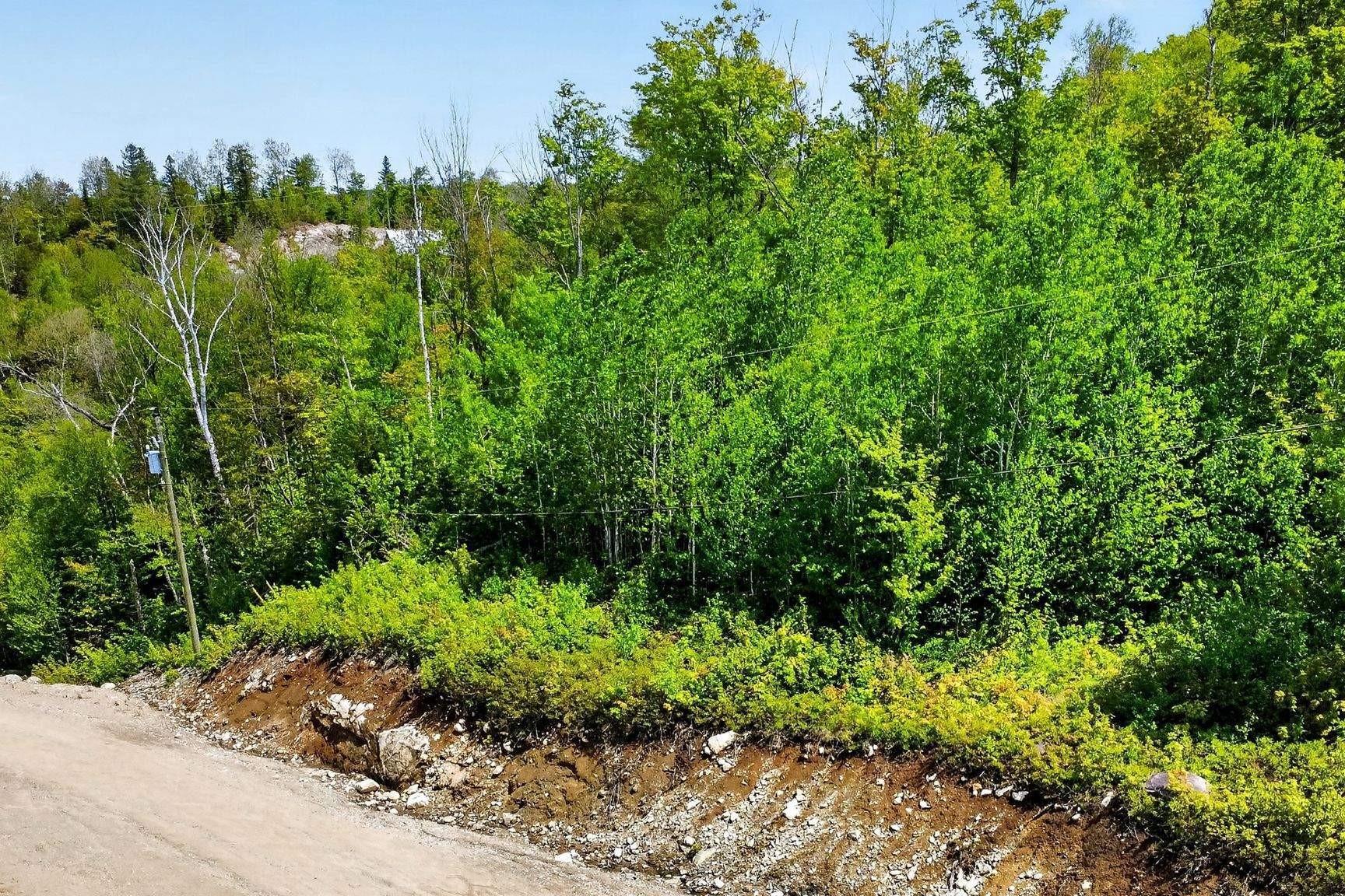 









1


Ch. du Belvédère

,
Saint-Côme,







QC
J0K2B0

