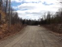 Street