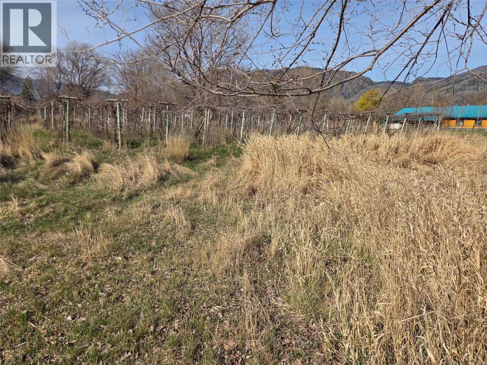 












2130 Wooden Road

,
Cawston,




British Columbia
V0X1C1

