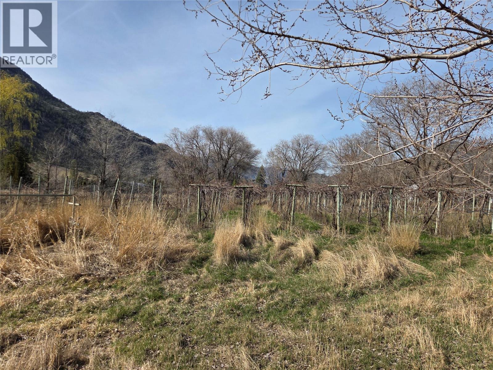 












2130 Wooden Road

,
Cawston,




British Columbia
V0X1C1

