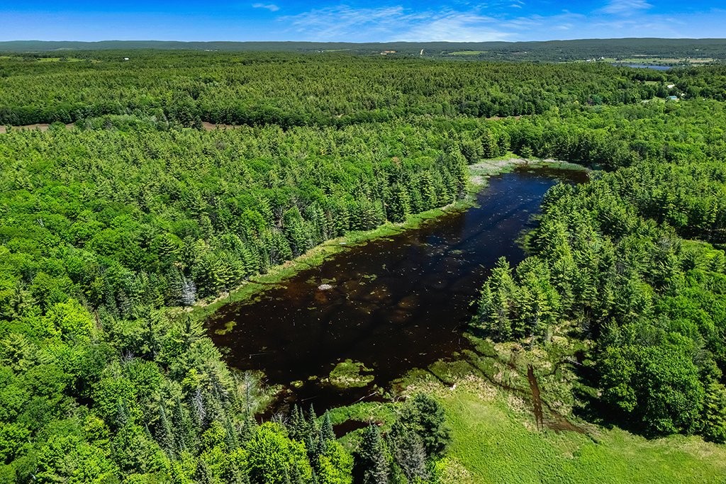 









10


Ch. des Outaouais

,
L'Île-du-Grand-Calumet,




QC
J0X1J0

