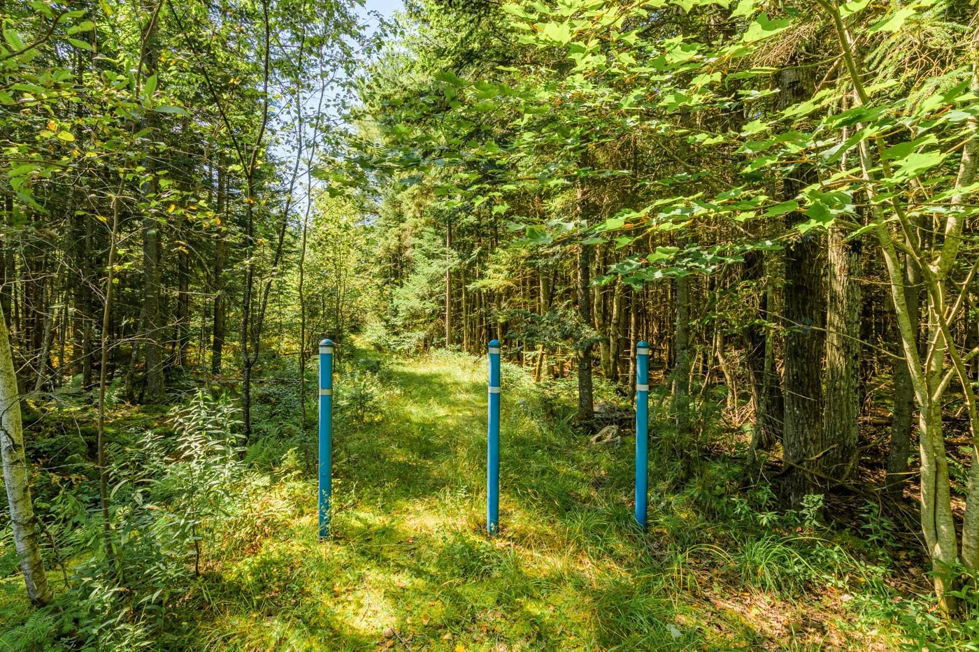 









435


Ch. du Domaine

,
Saint-Denis-de-Brompton,




QC
J0B2P0

