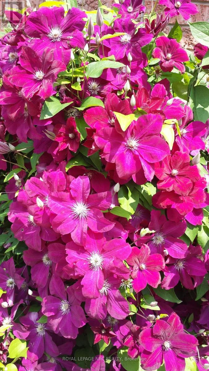 












4393 TAMARAC AVENUE

,
Lincoln (Beamsville),




Ontario
L0R1B8

