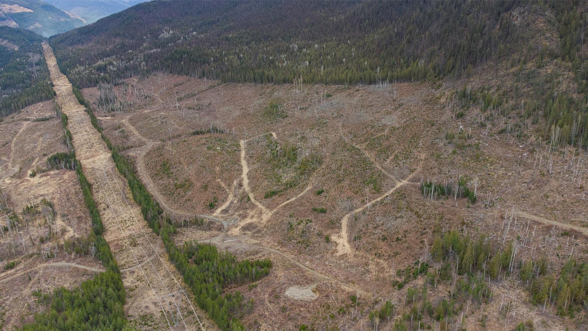 












Walkem

Road,
Cherryville,







BC
V0E 2G3

