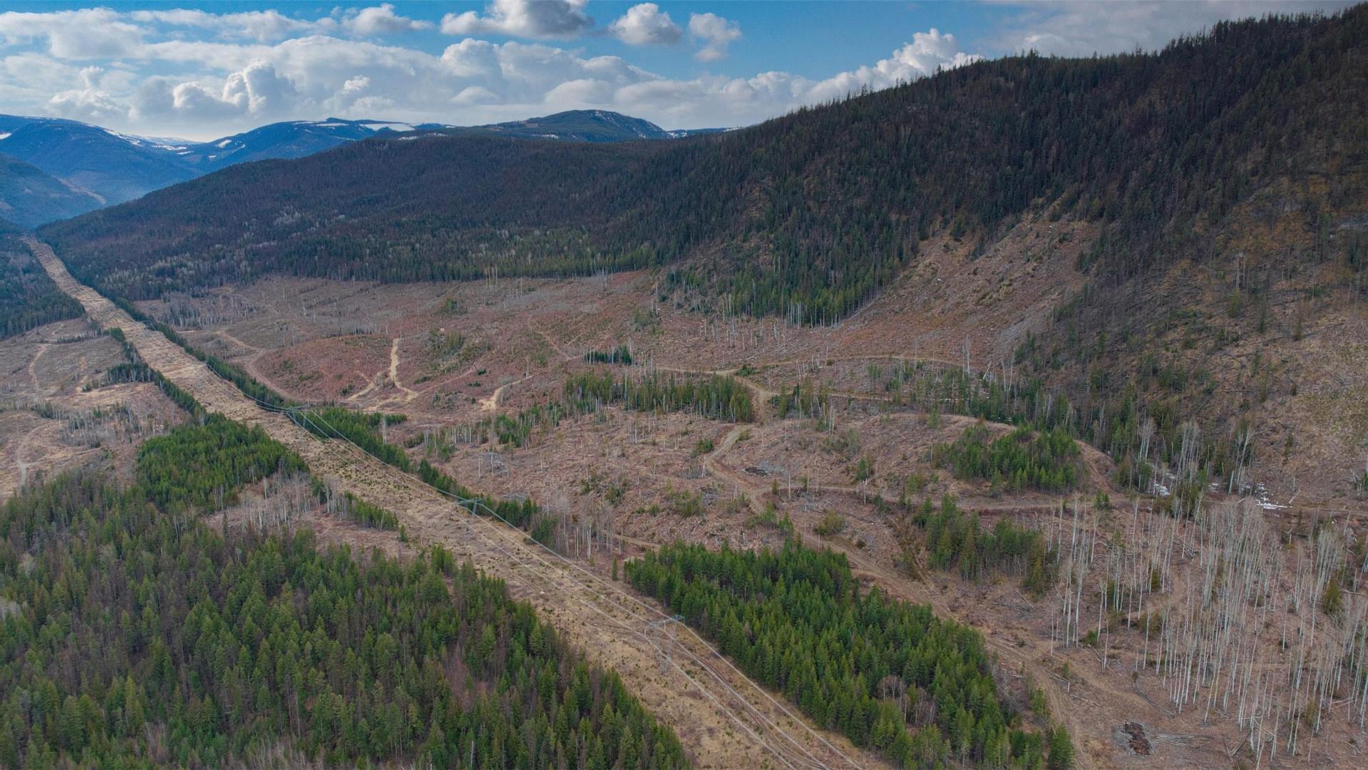 












Walkem

Road,
Cherryville,







BC
V0E 2G3

