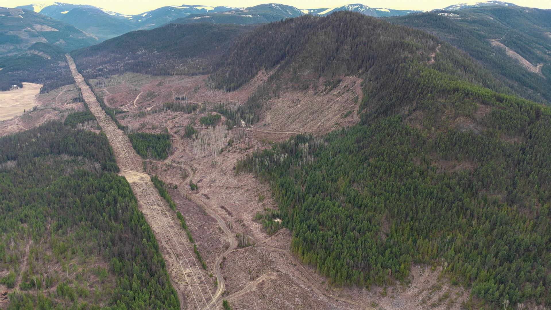 












Walkem

Road,
Cherryville,







BC
V0E 2G3

