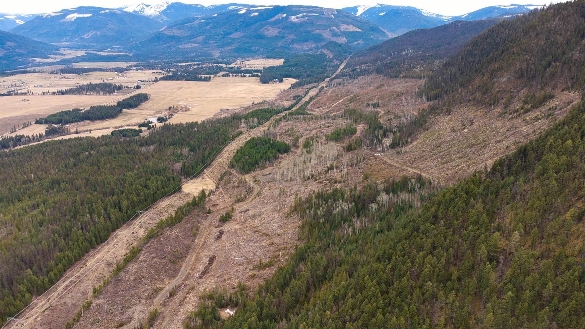 












Walkem

Road,
Cherryville,







BC
V0E 2G3

