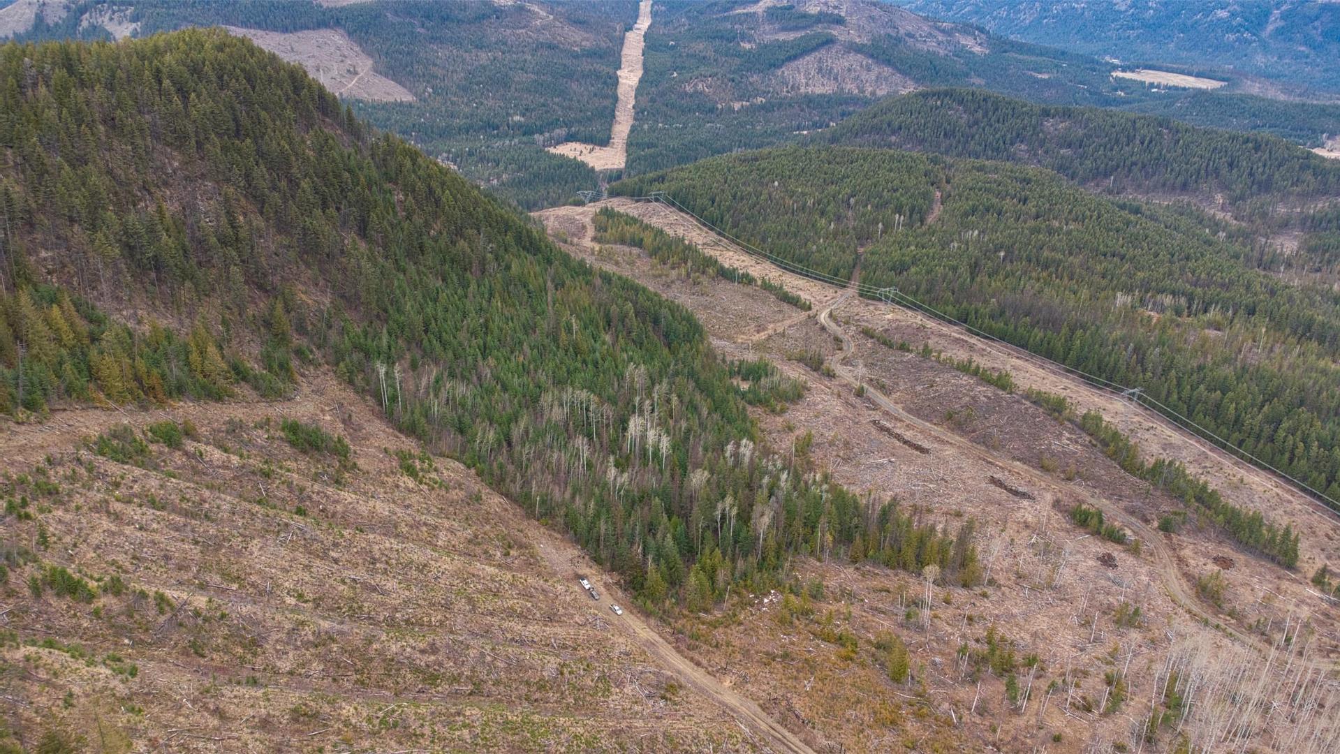 












Walkem

Road,
Cherryville,







BC
V0E 2G3

