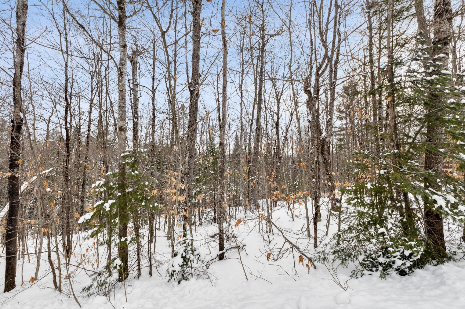 









480


Ch. du Chêne-Rouge

,
Val-des-Monts,







QC
J8N6G1

