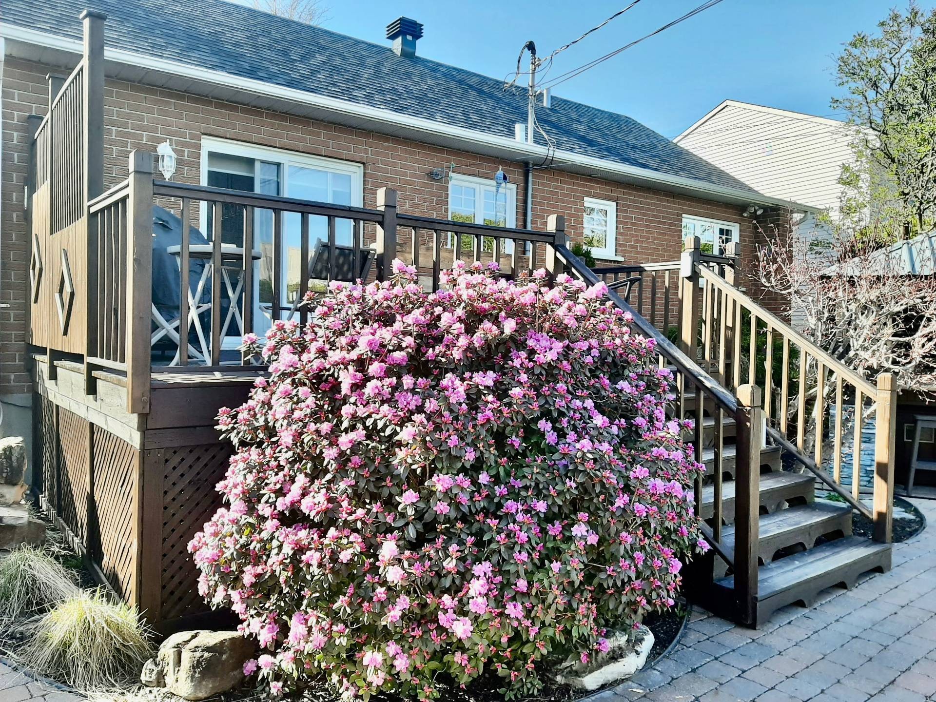 









30


Rue Jolicoeur

,
Repentigny (Repentigny),




QC
J6A6T6

