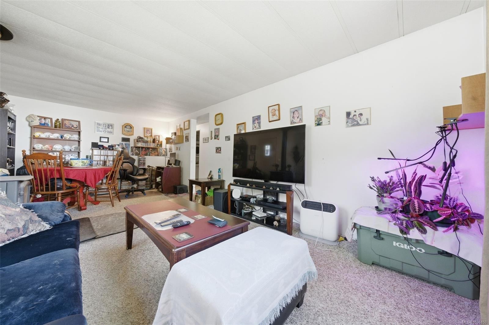 









2615


Otter Point

Rd, 11,
Sooke,




BC
V9Z 9J2

