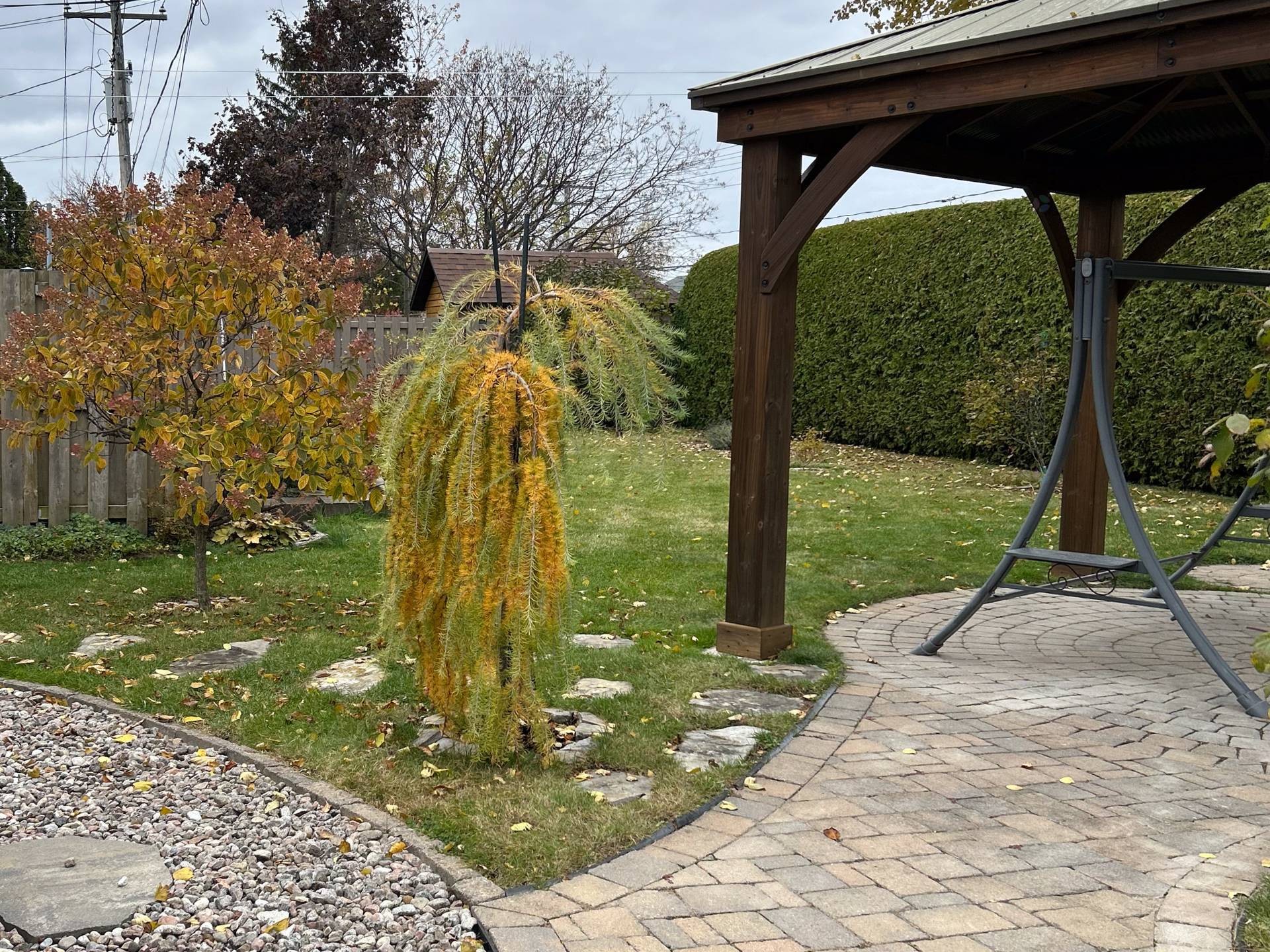 









4163


Rue Fafard

,
Laval (Chomedey),




QC
H7T1Y4

