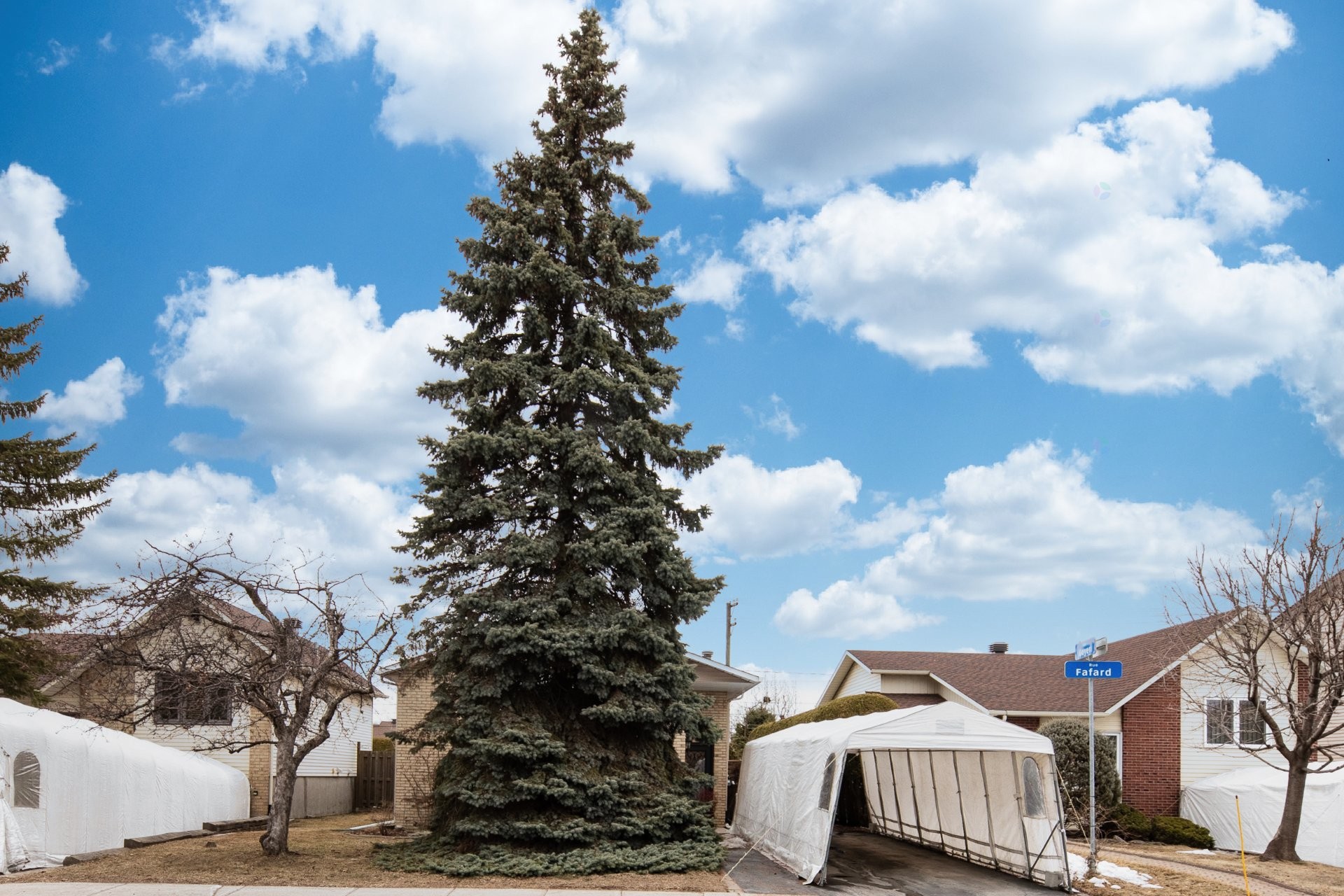 









4163


Rue Fafard

,
Laval (Chomedey),




QC
H7T1Y4

