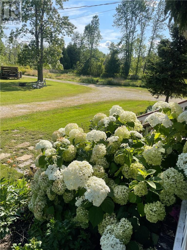 












10928 Highway 540

,
Gore Bay, Manitoulin Island,




Ontario
P0P1H0

