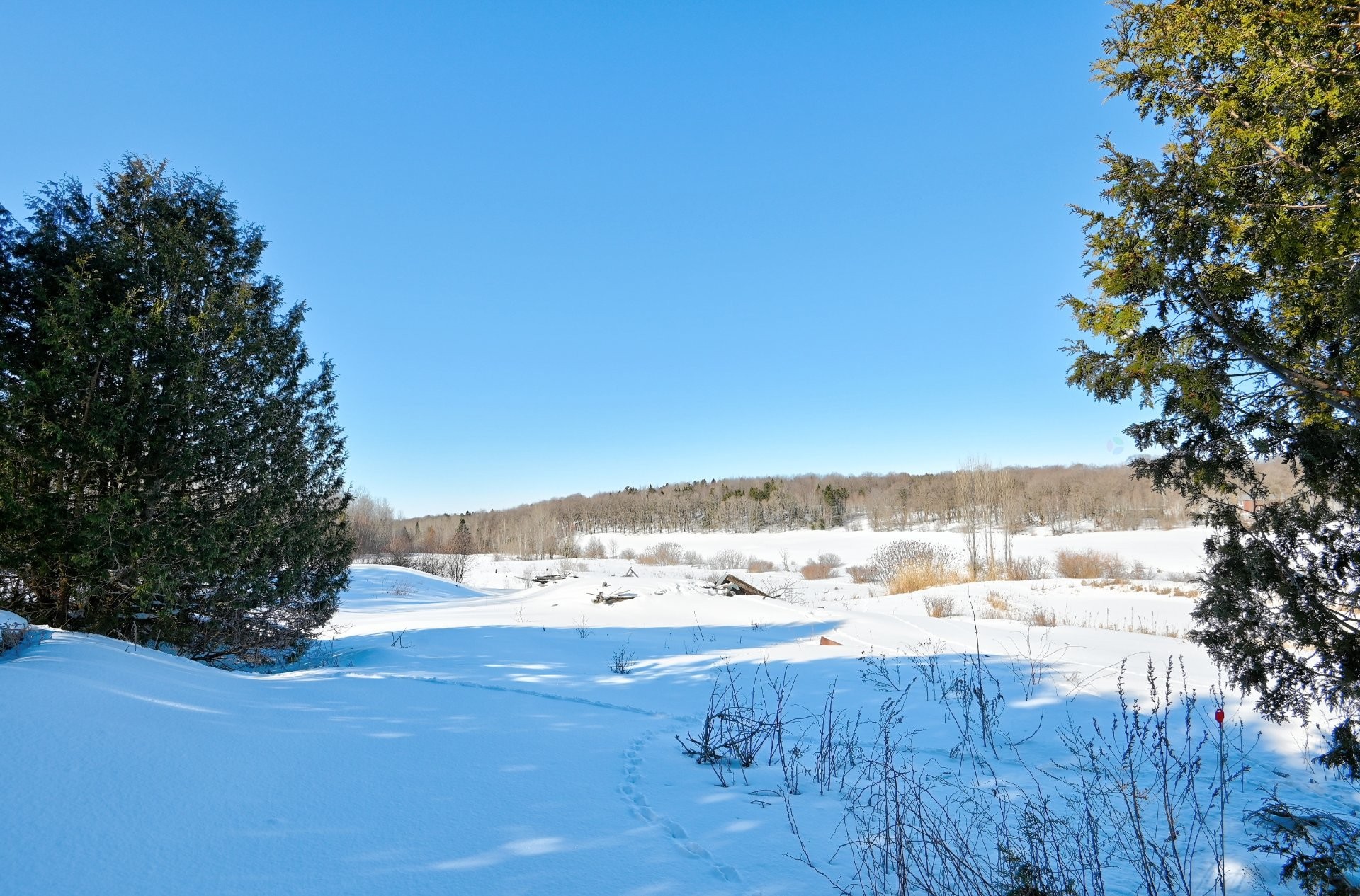 









3881Z


Rg Ste-Anne

,
Saint-Norbert,







QC
J0K3C0

