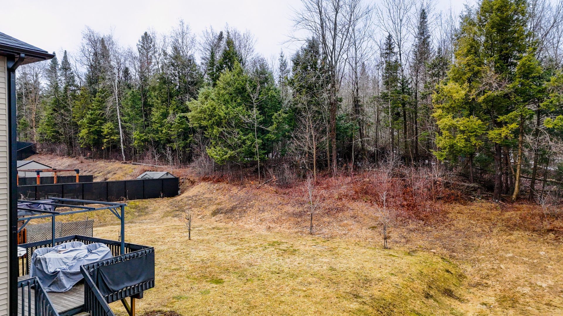 









1786


Rue des Pois-de-Senteur

,
Sherbrooke (Fleurimont),




QC
J1E0L7

