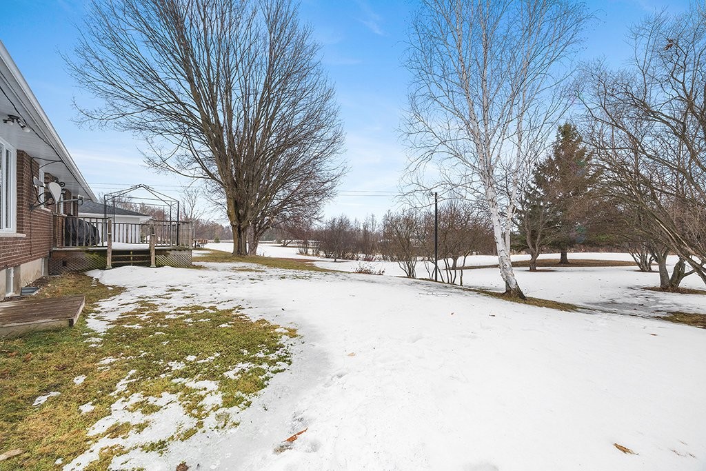 









766


Ch. John-Dale

,
Shawville,




QC
J0X2Y0

