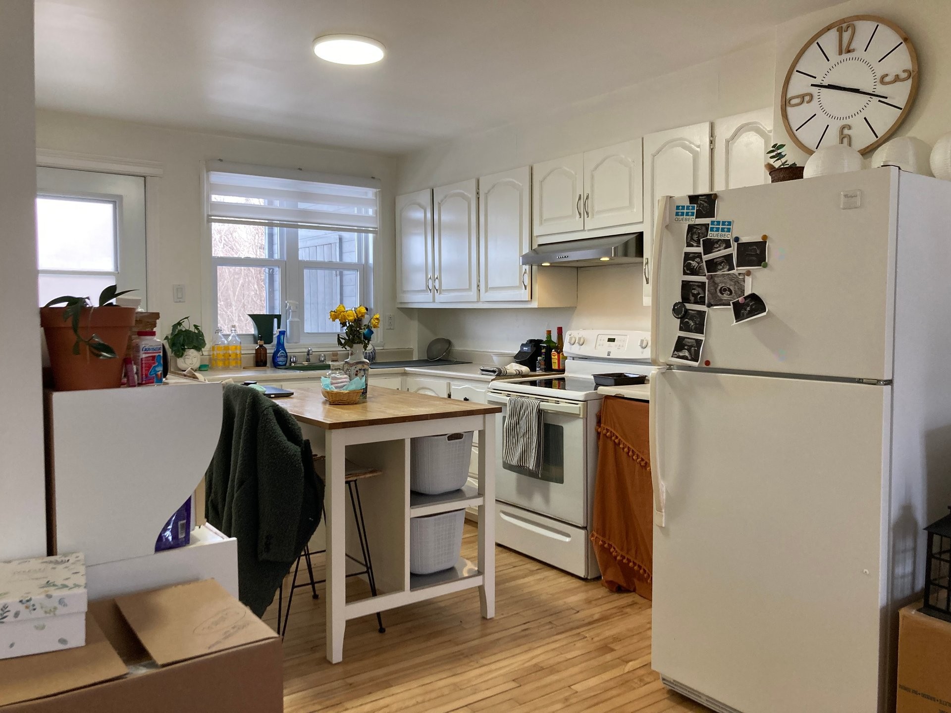 









653


Rue Montcalm

,
Shawinigan,




QC
G9N4M6

