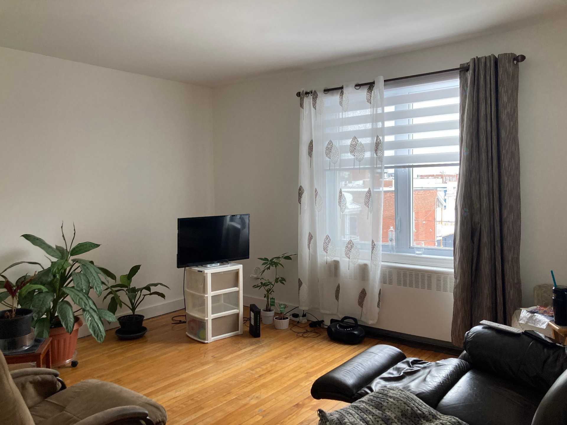 









653


Rue Montcalm

,
Shawinigan,




QC
G9N4M6

