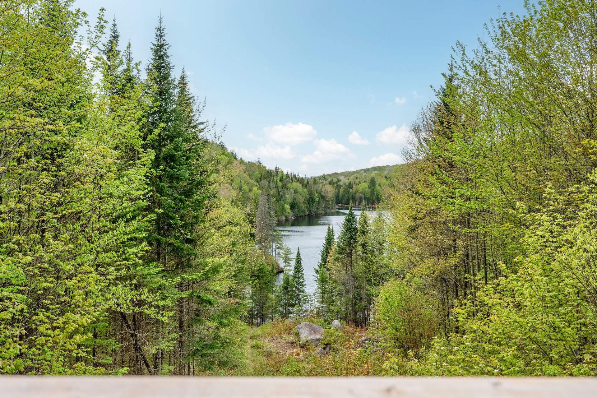 









225


Ch. Laurent

,
Saint-Adolphe-d'Howard,




QC
J0T2B0


