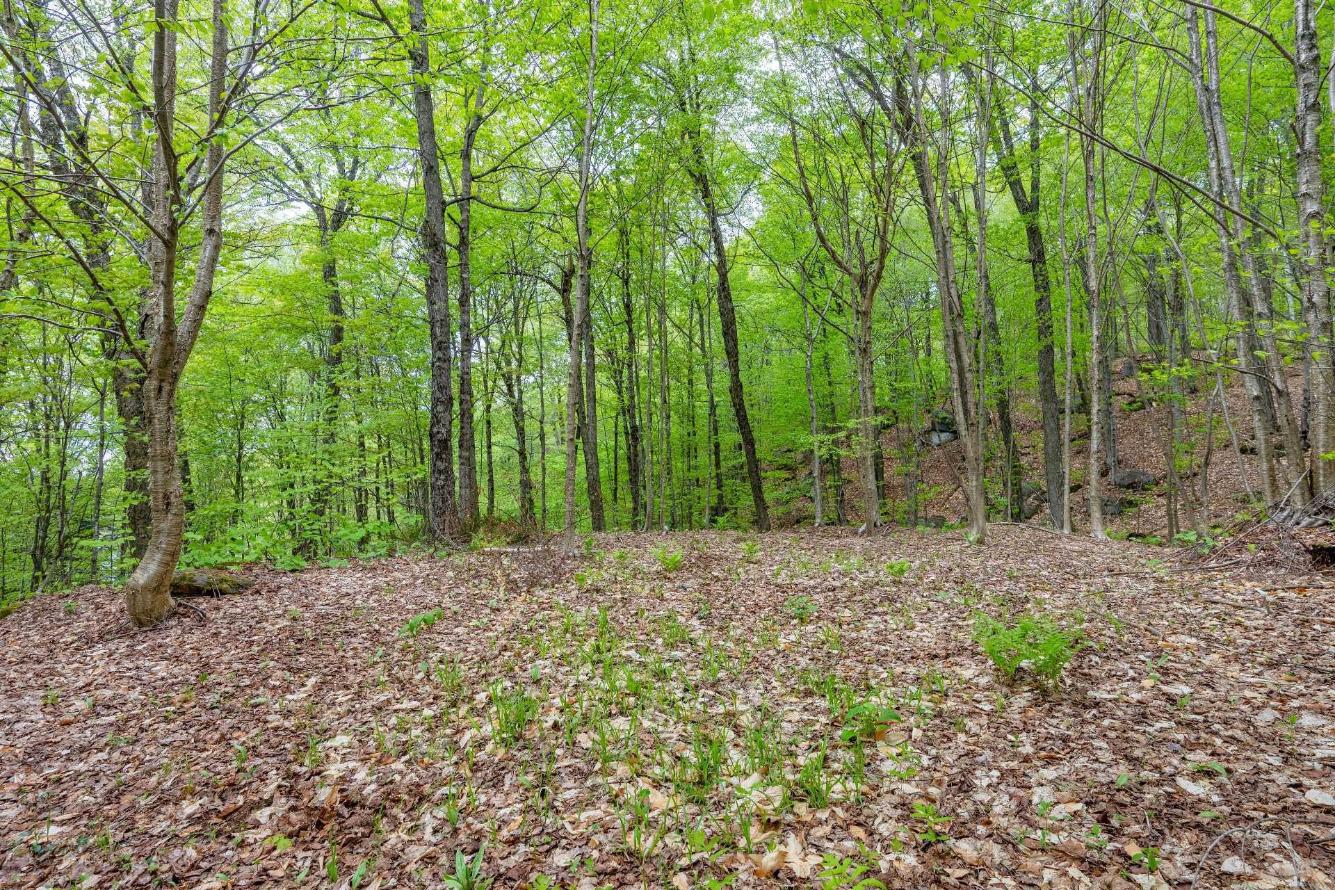 









225


Ch. Laurent

,
Saint-Adolphe-d'Howard,




QC
J0T2B0


