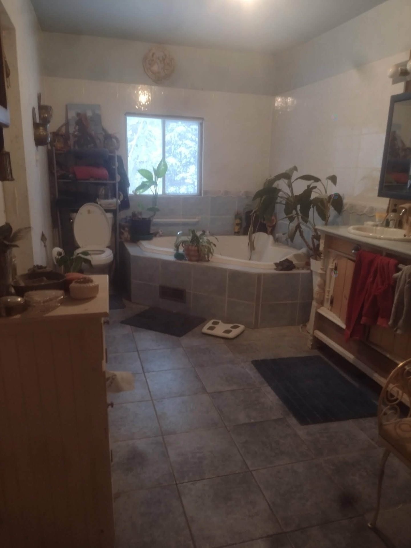 









188


Ch. des Hauteurs

,
Lac-Supérieur,




QC
J0T1J0


