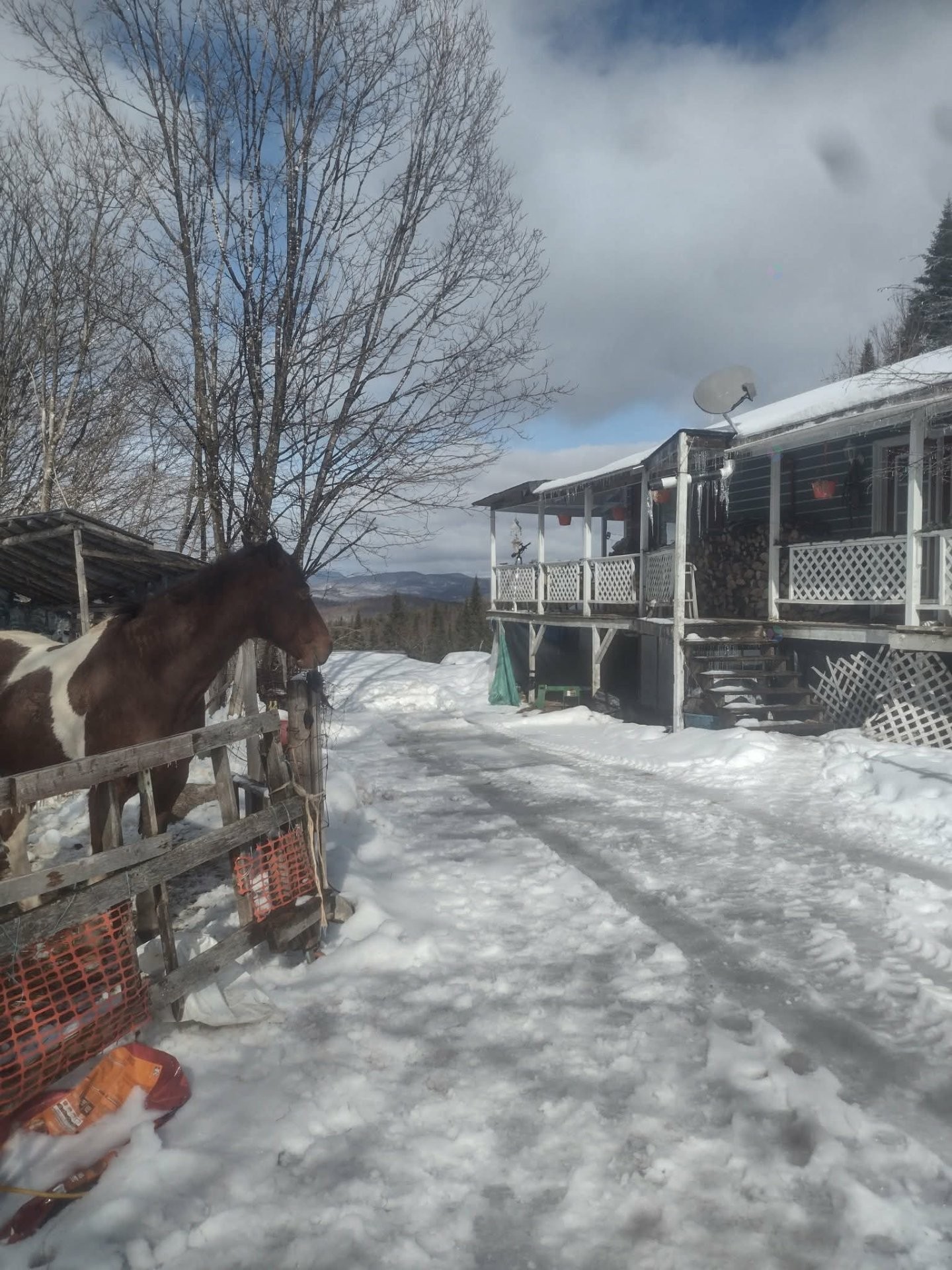 









188


Ch. des Hauteurs

,
Lac-Supérieur,




QC
J0T1J0

