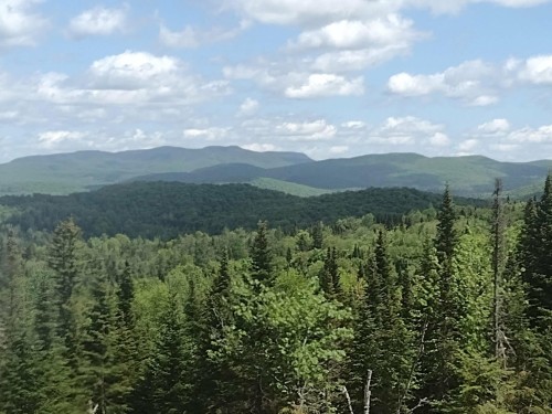 Vue