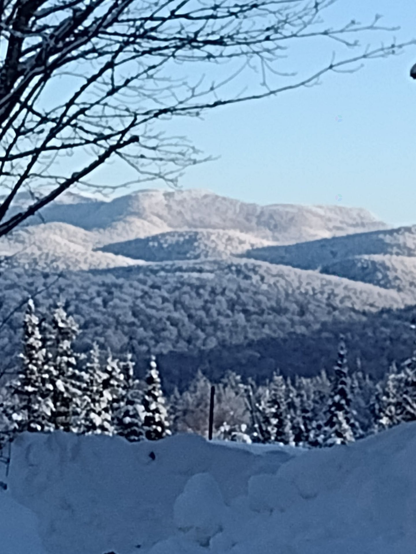 









188


Ch. des Hauteurs

,
Lac-Supérieur,




QC
J0T1J0


