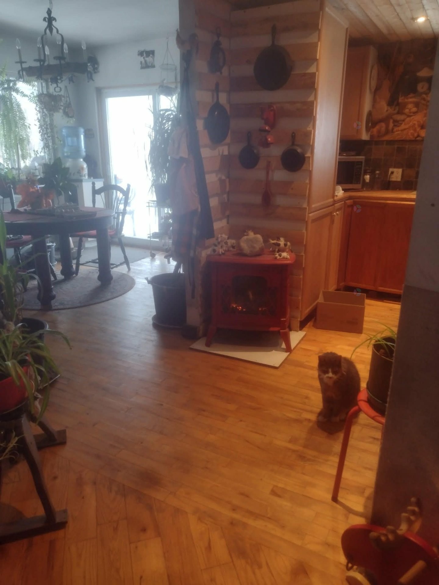 









188


Ch. des Hauteurs

,
Lac-Supérieur,




QC
J0T1J0

