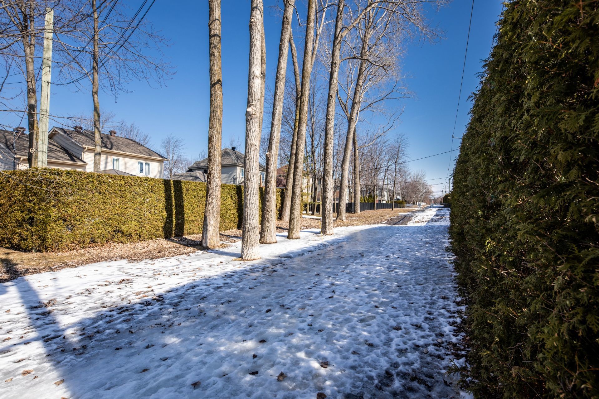









457


Rue du Mimosa

,
Saint-Amable,




QC
J0L1N0

