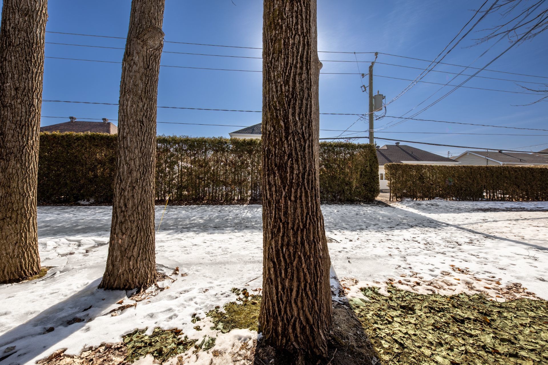 









457


Rue du Mimosa

,
Saint-Amable,




QC
J0L1N0

