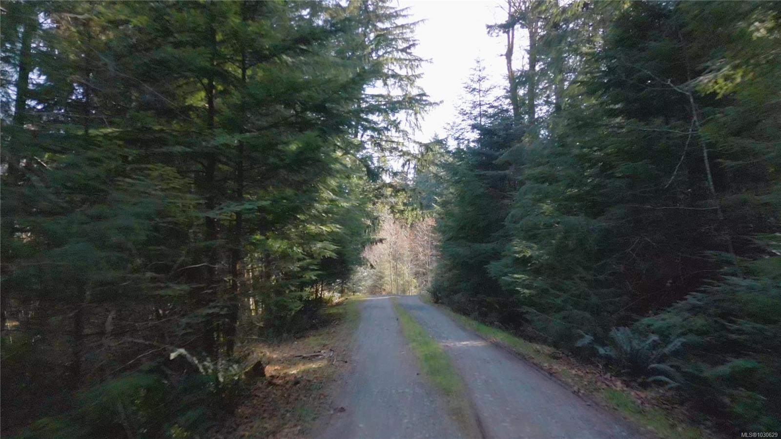 









615


Green

Rd,
Quadra Island,







BC
V0P 1N0

