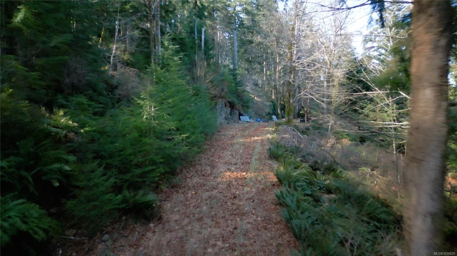 









615


Green

Rd,
Quadra Island,







BC
V0P 1N0

