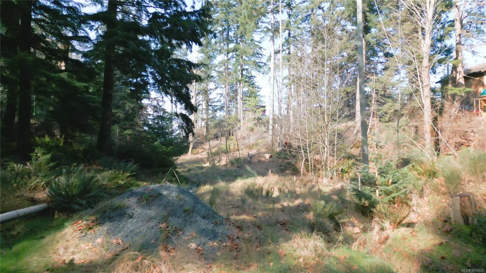 









615


Green

Rd,
Quadra Island,







BC
V0P 1N0

