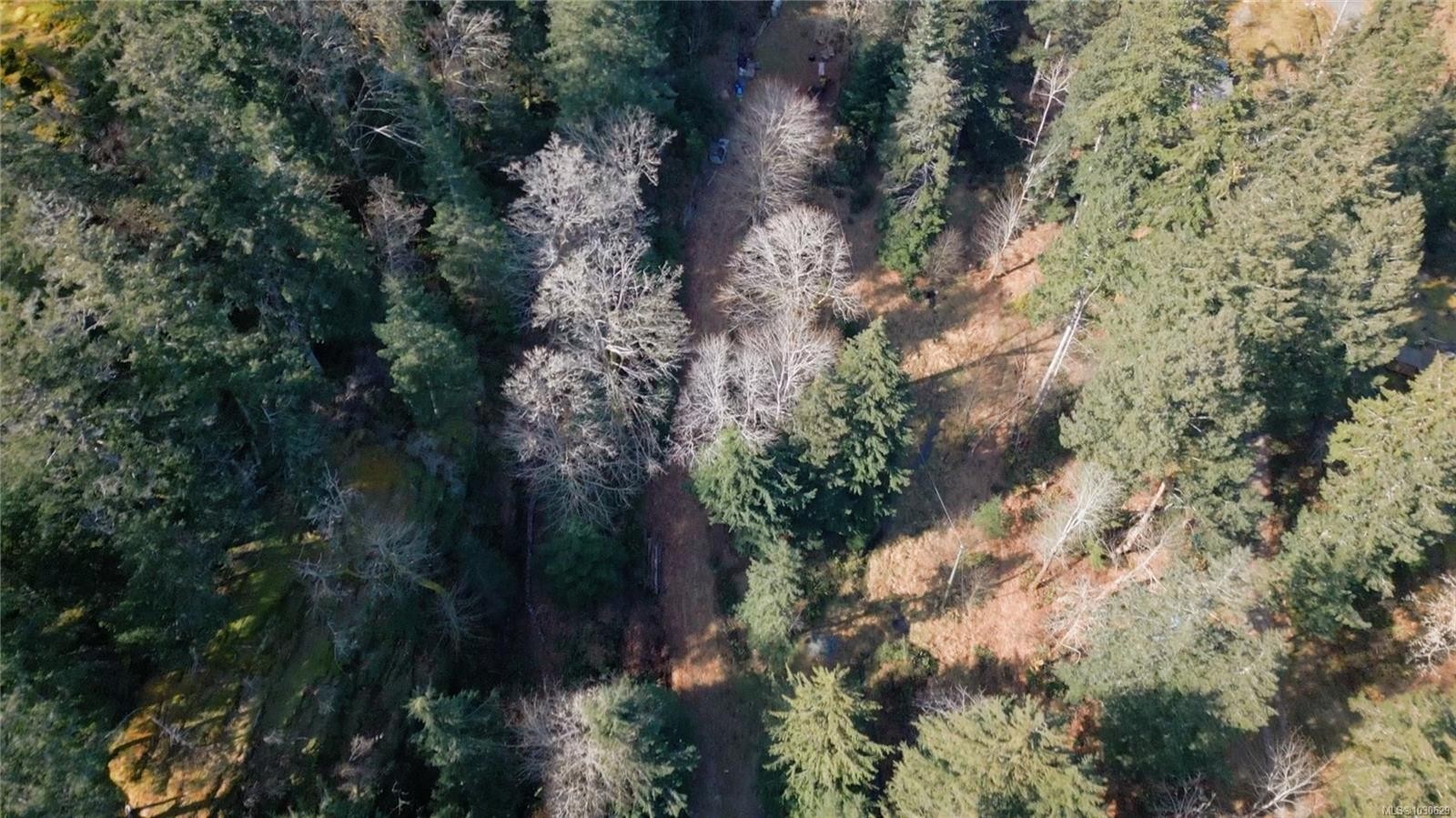









615


Green

Rd,
Quadra Island,







BC
V0P 1N0


