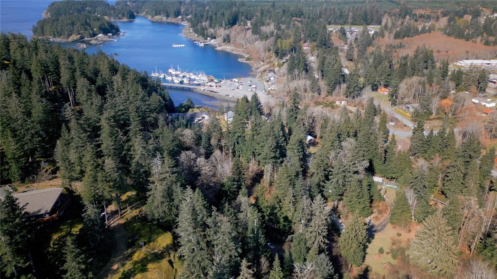 









615


Green

Rd,
Quadra Island,







BC
V0P 1N0

