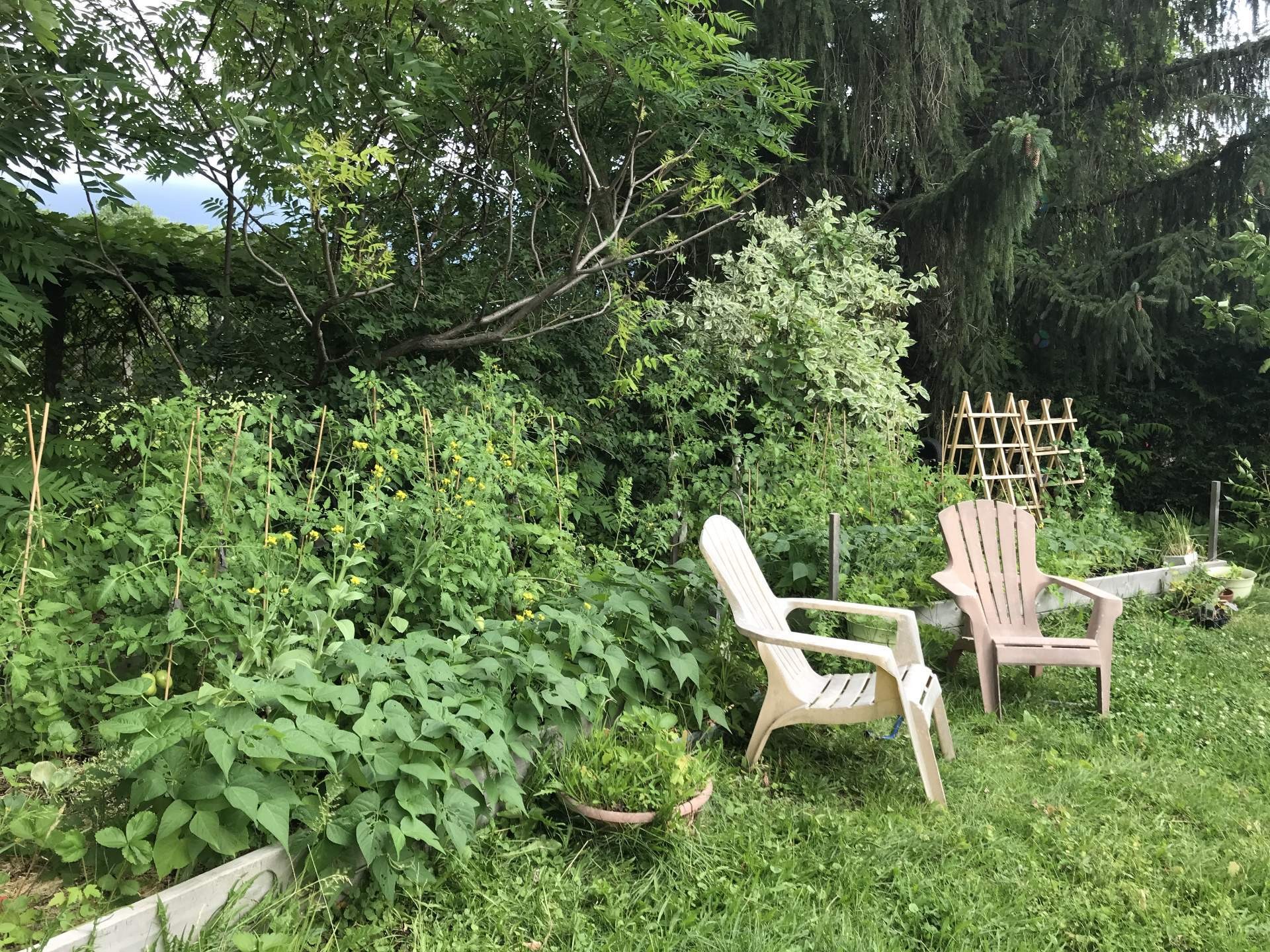 









27


Rue des Pins

,
Saint-Basile-le-Grand,




QC
J3N1L5

