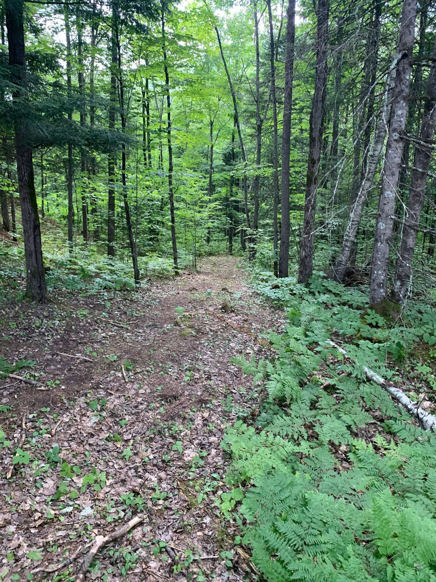 












Ch. du Sommet

,
Bowman,







QC
J0X3C0

