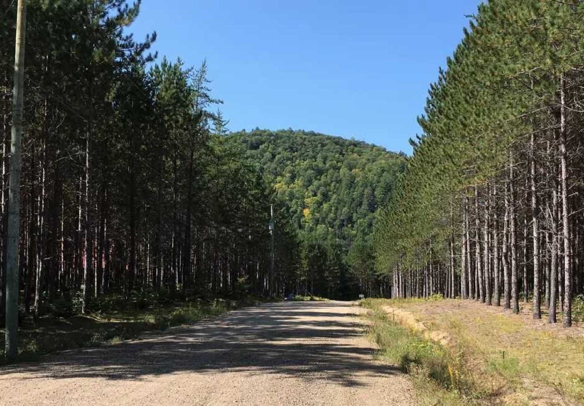 












Ch. du Sommet

,
Bowman,







QC
J0X3C0

