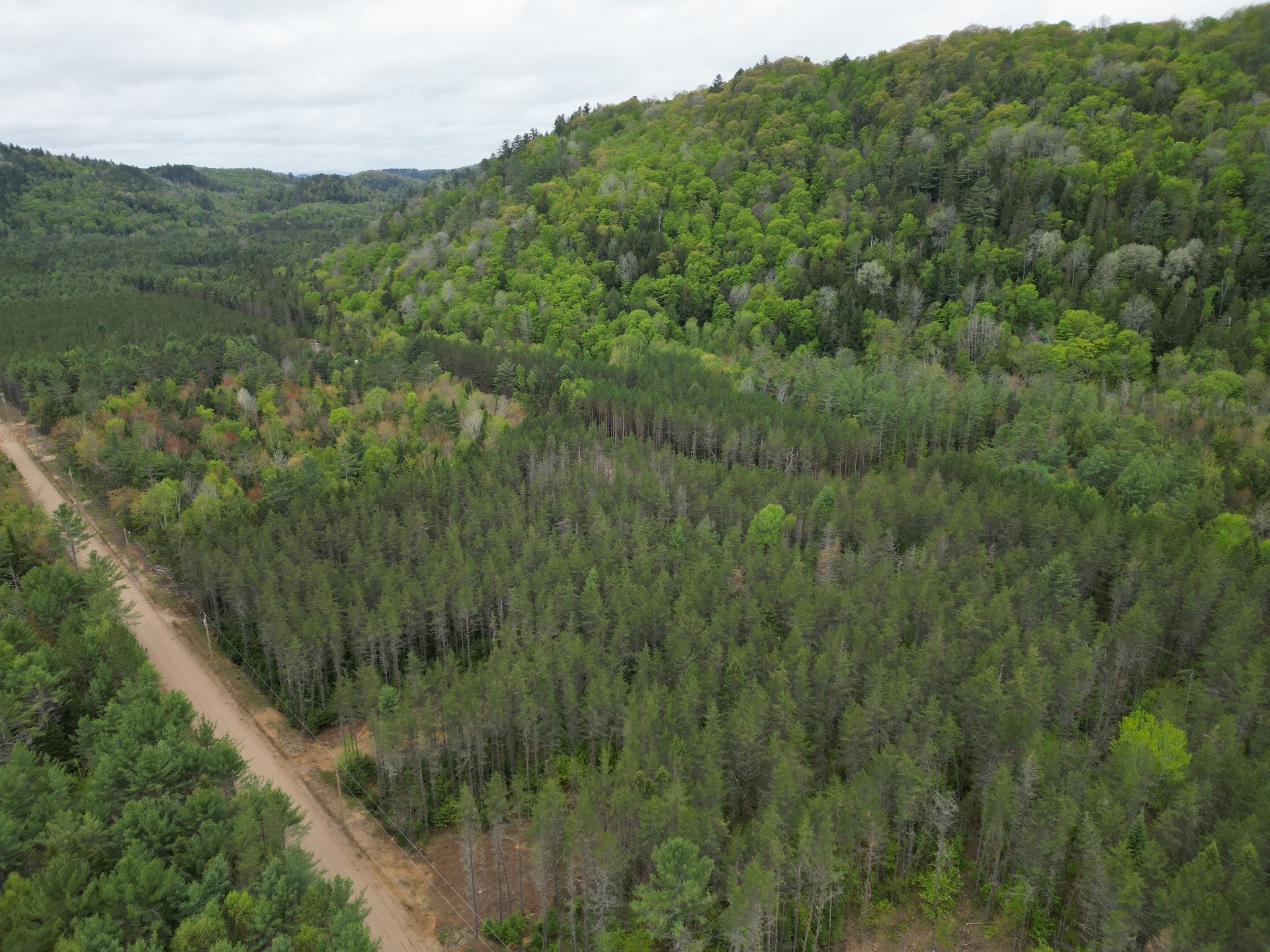 












Ch. du Sommet

,
Bowman,







QC
J0X3C0

