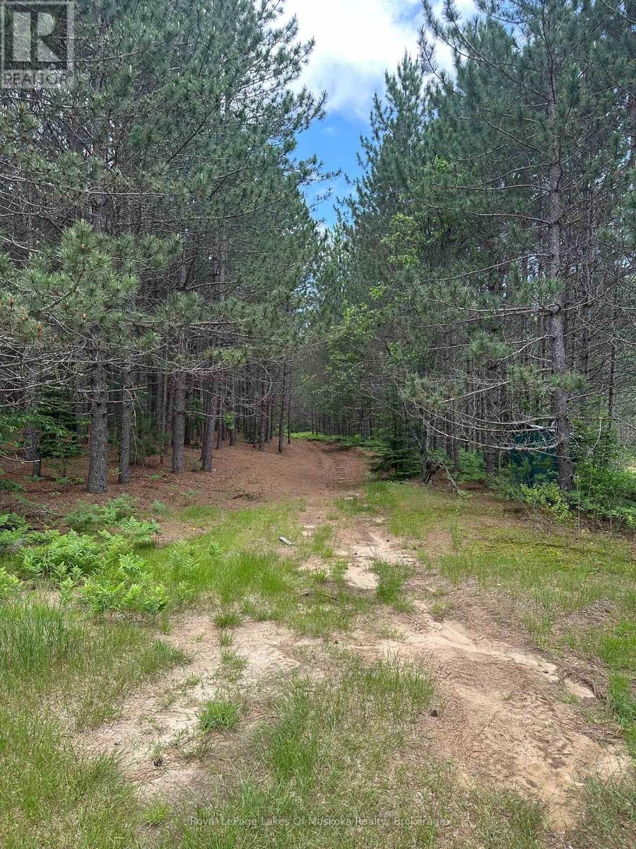 












1958 518 HIGHWAY

,
McMurrich/Monteith (Sprucedale),




Ontario
P0A1Y0

