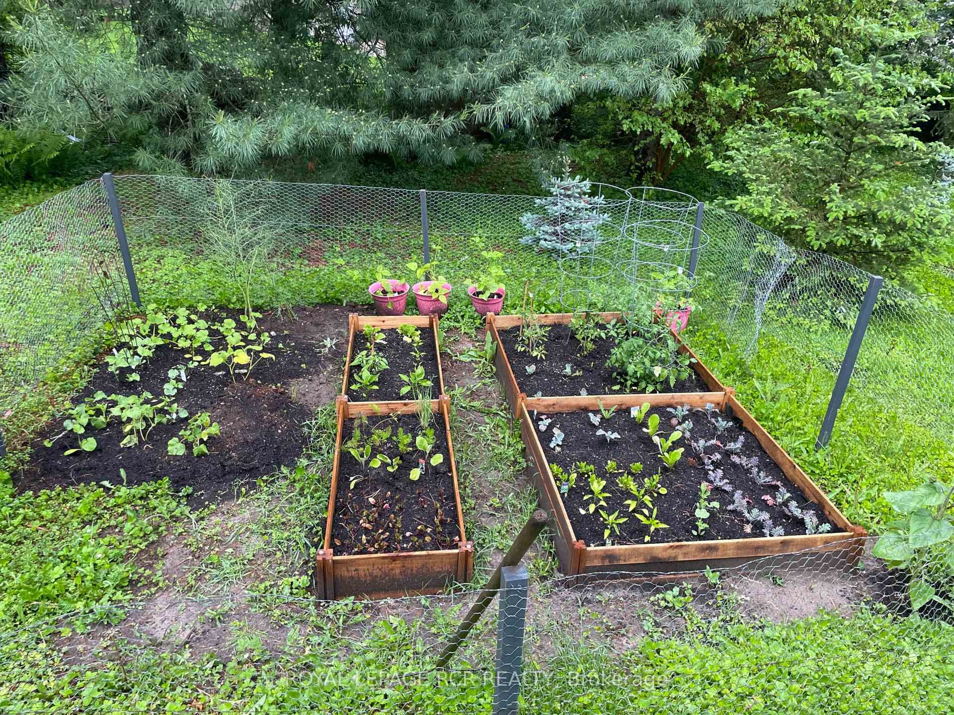 









11


Hilltop

Drive,
Caledon,




ON
L7C 1K7

