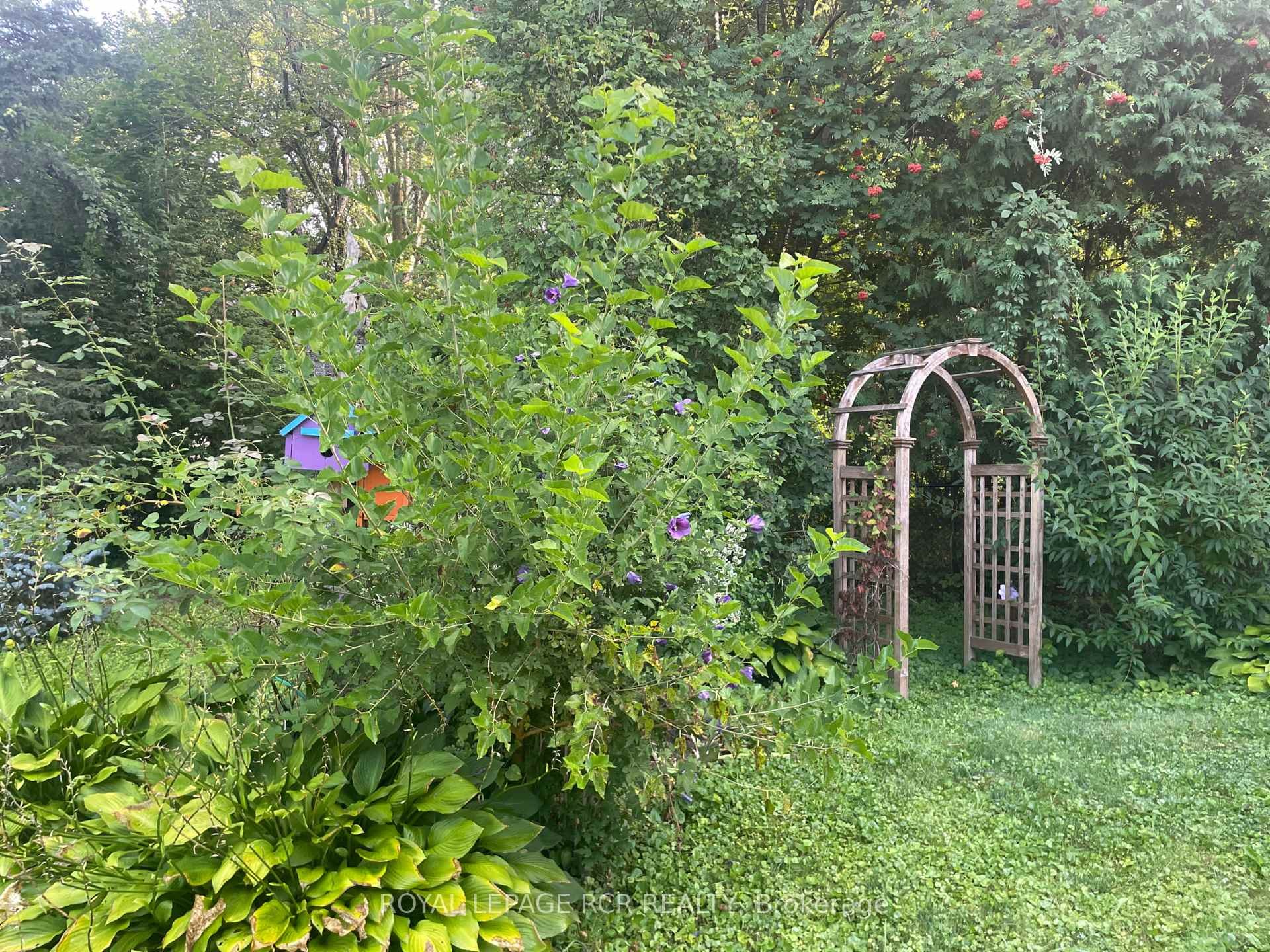 









11


Hilltop

Drive,
Caledon,




ON
L7C 1K7

