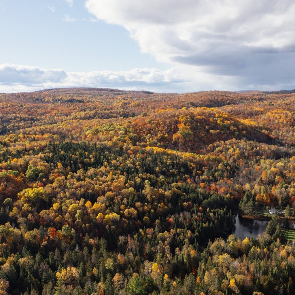 












Av. de la Montagne

,
Sainte-Béatrix,




QC
J0K1Y0

