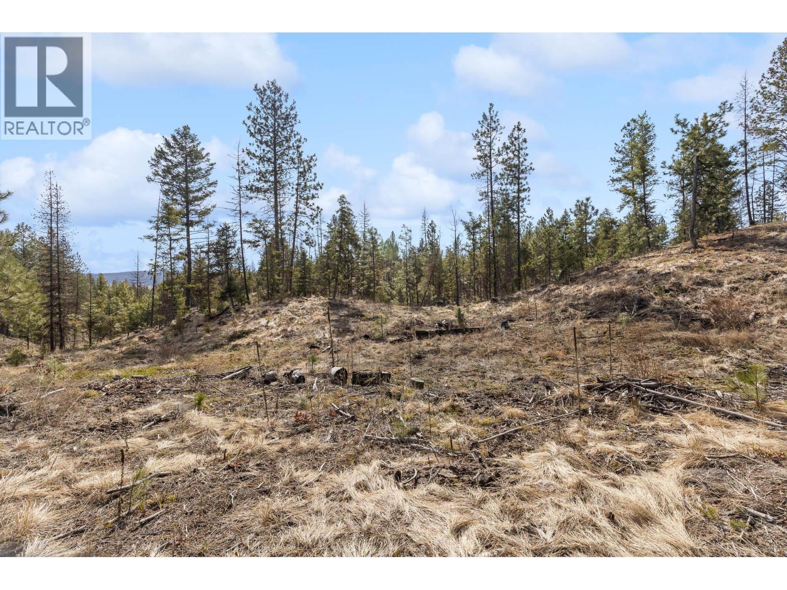 












21 Nine Mile Place

,
Osoyoos,







British Columbia
V0H1V6

