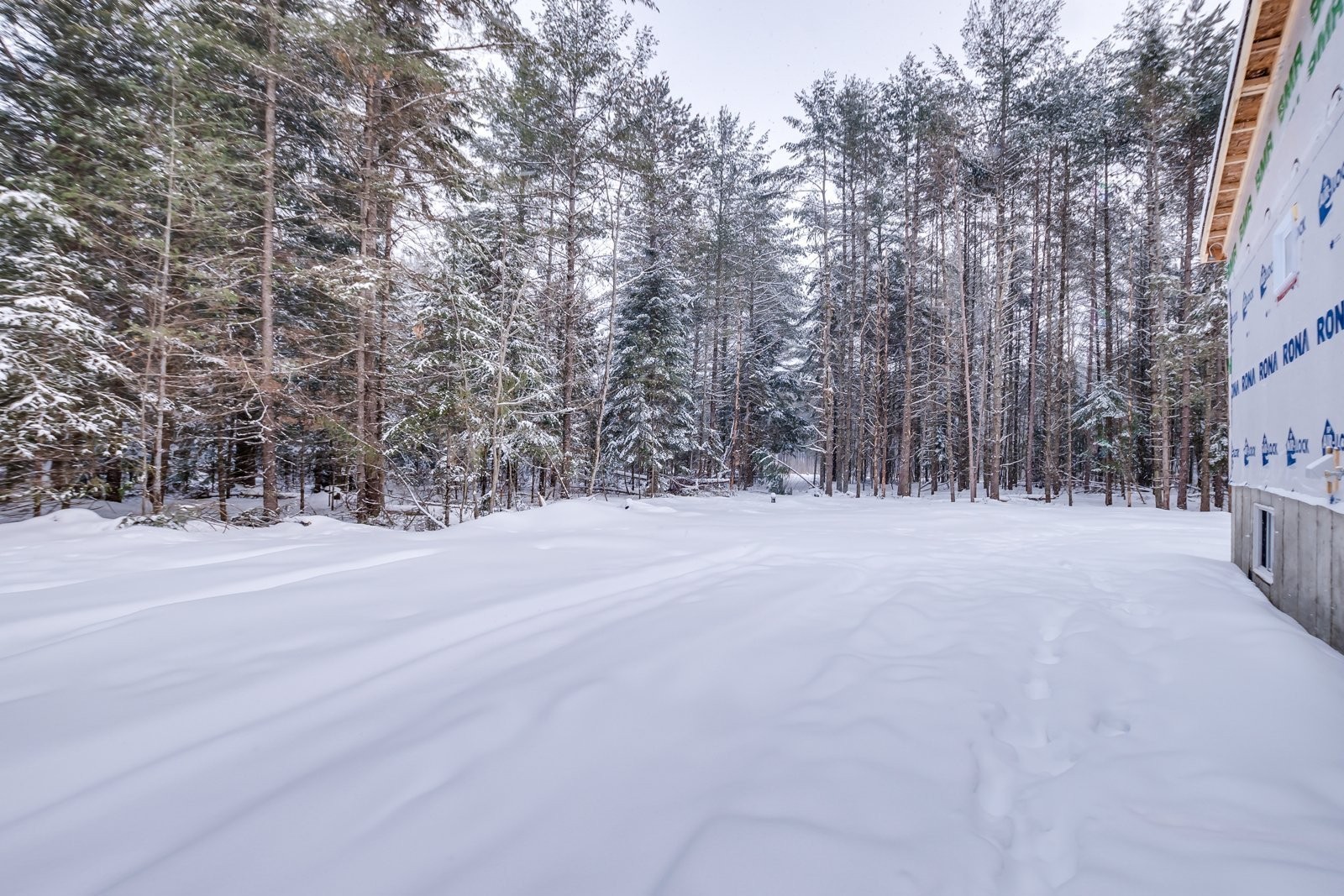 









15


Ch. du Sous-Bois

,
Bowman,




QC
J0X3C0

