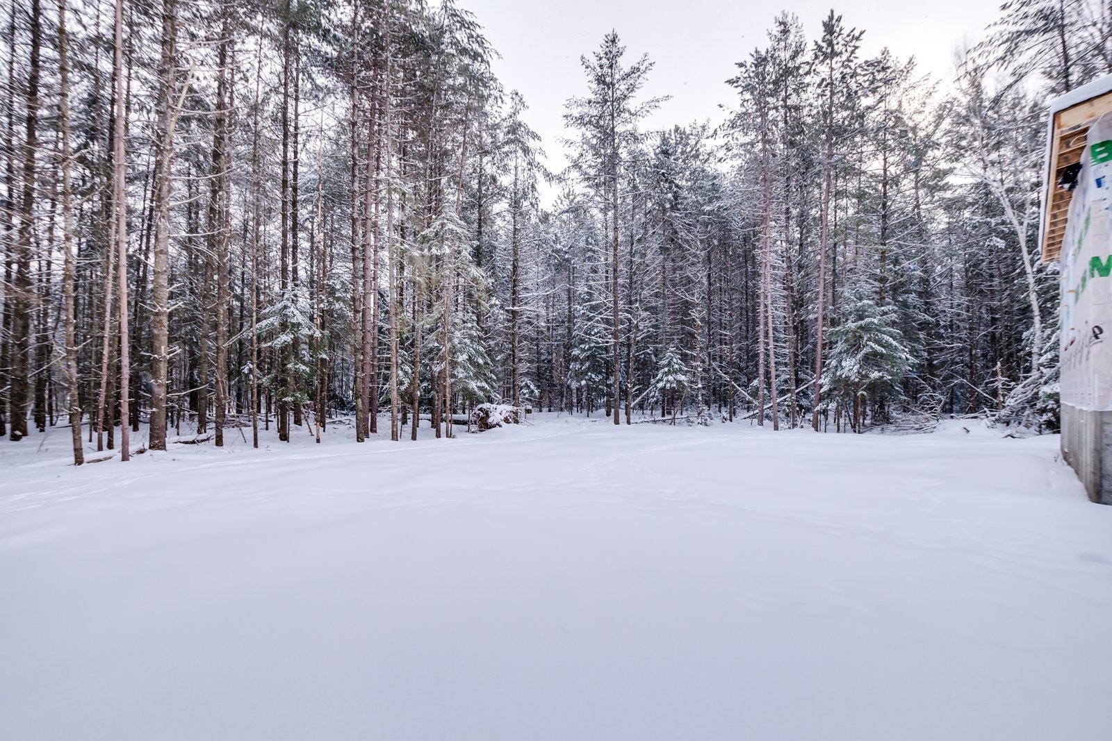 









15


Ch. du Sous-Bois

,
Bowman,




QC
J0X3C0

